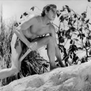 tarzan